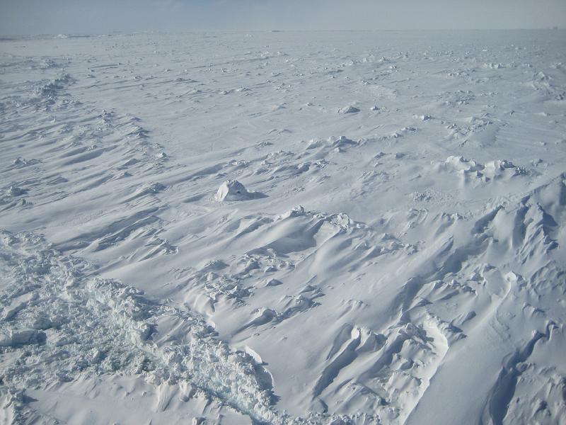 snow drift on igloo.jpg